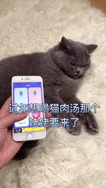 包子姥姥要来了