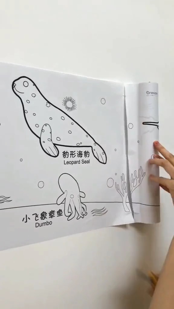 宝宝的成长由我来守护,趣味学习超有趣
