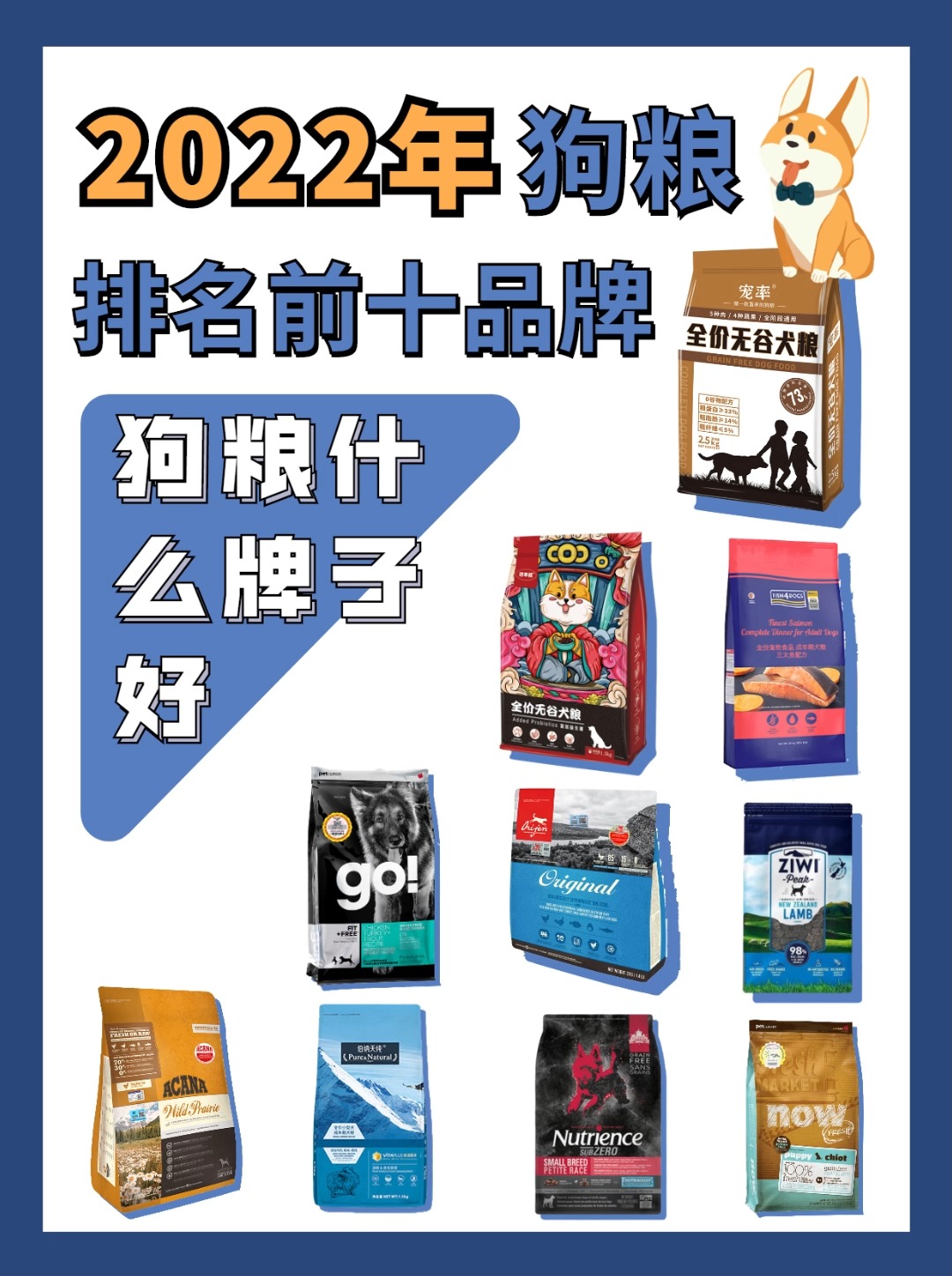 #养狗小知识#狗粮什么牌子好?2022年狗粮排名前十品牌