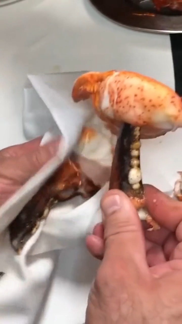 波士顿龙虾最好吃的精华之处