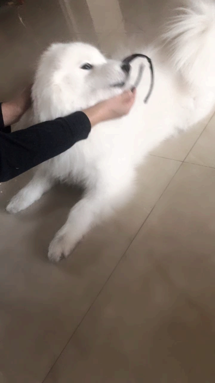 #沙雕青年欢乐多#就不带眼镜