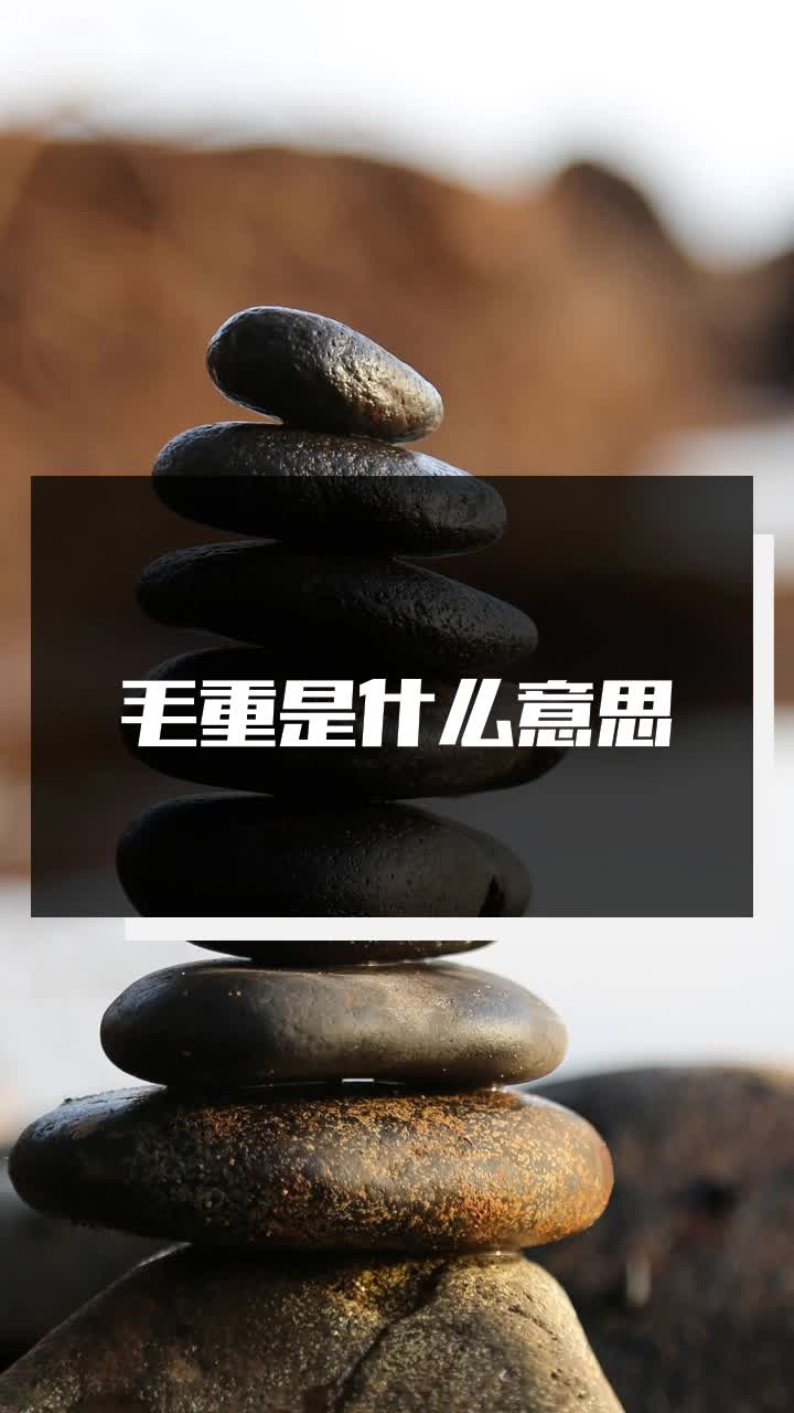毛重是什么意思
