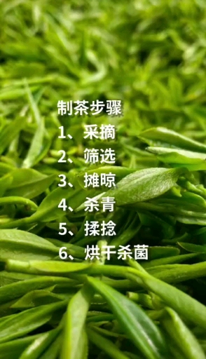 自家纯手工採摘!