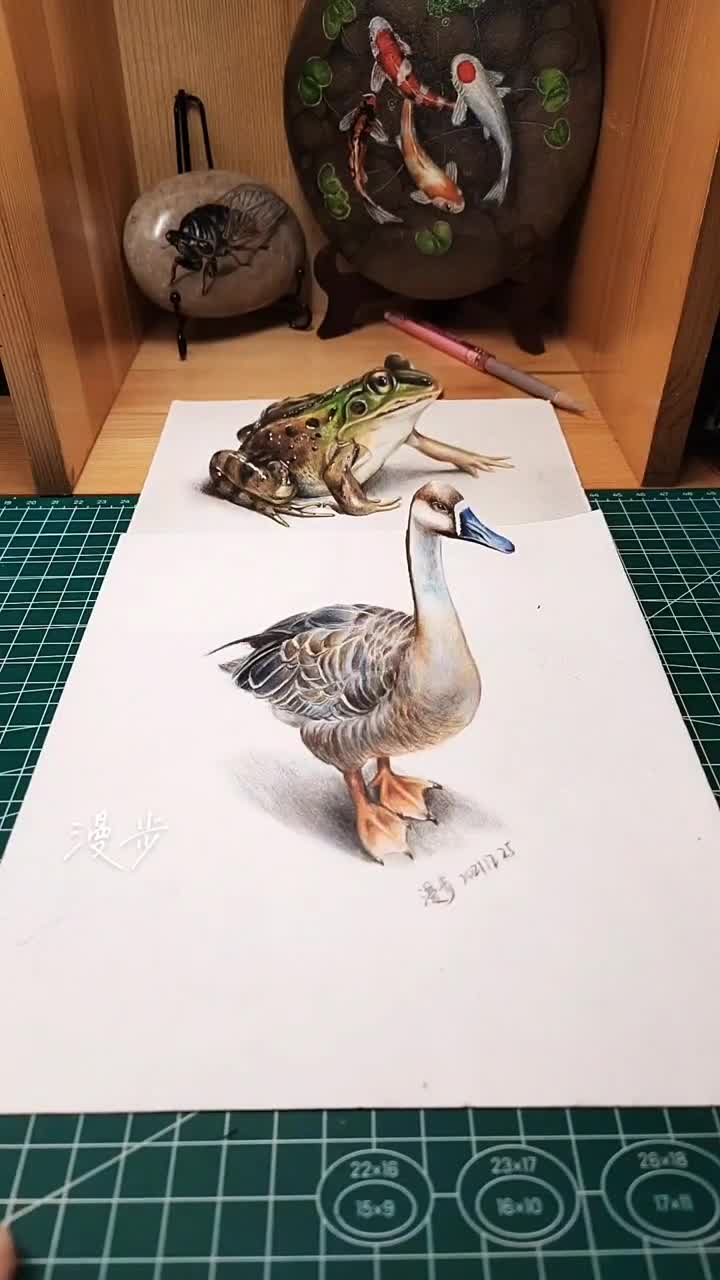 3d立体画鹅和青蛙。癞蛤蟆想吃天鹅肉了,立体画让它们都活了。立体画彩铅画青蛙鹅零基础学画画