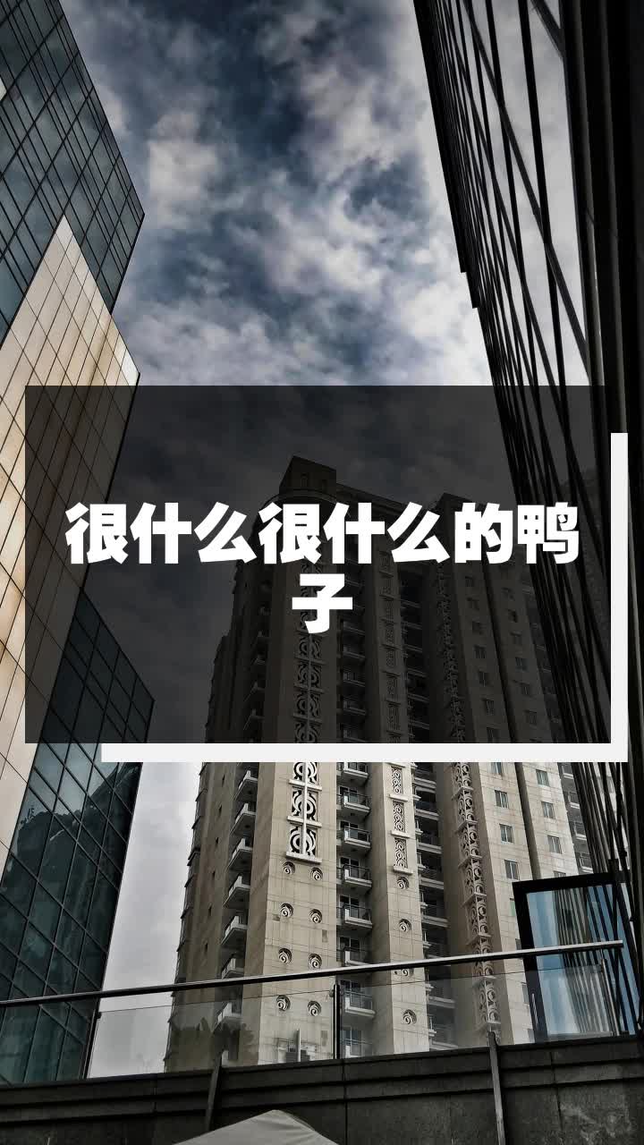 很什么很什么的鸭子