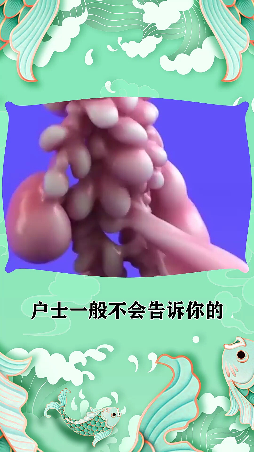 户士一般不会告诉你的