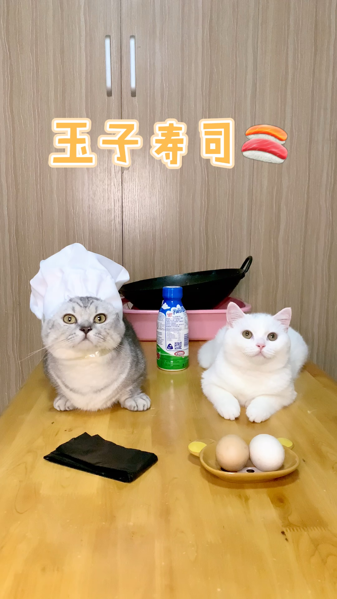 #宠物最可爱的样子#今天请大家品尝玉子寿司