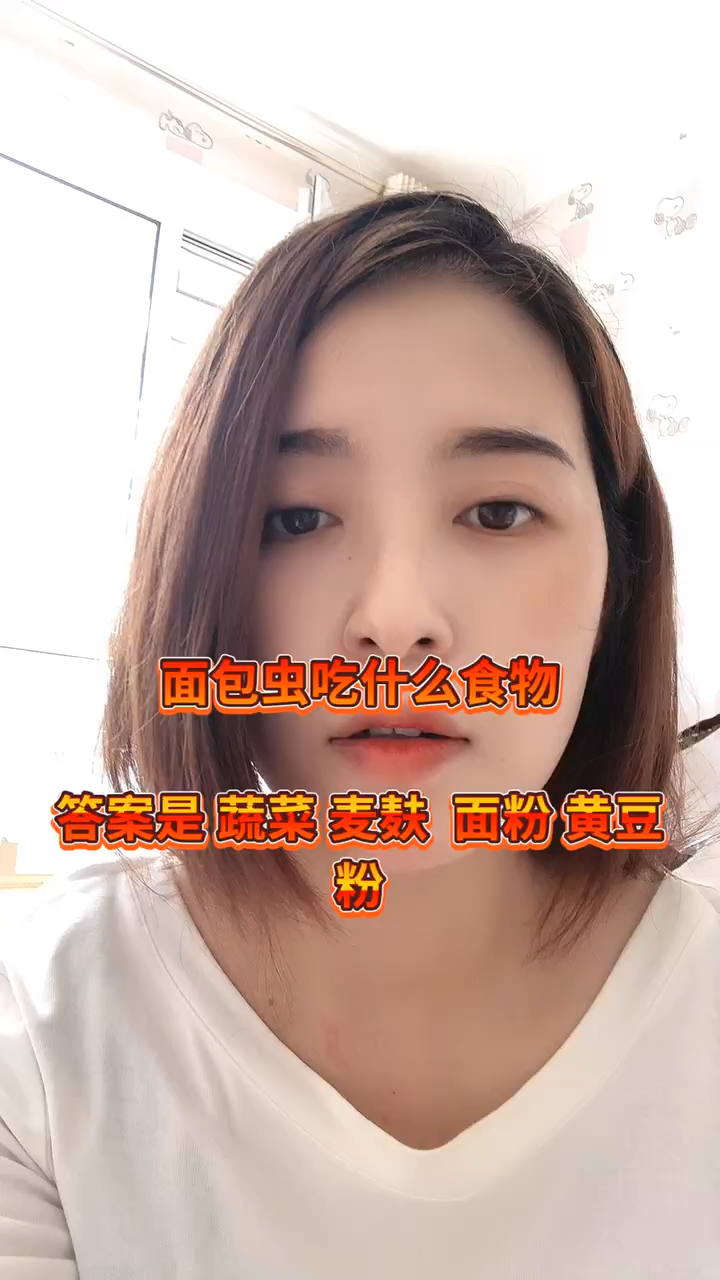 面包虫吃什么食物