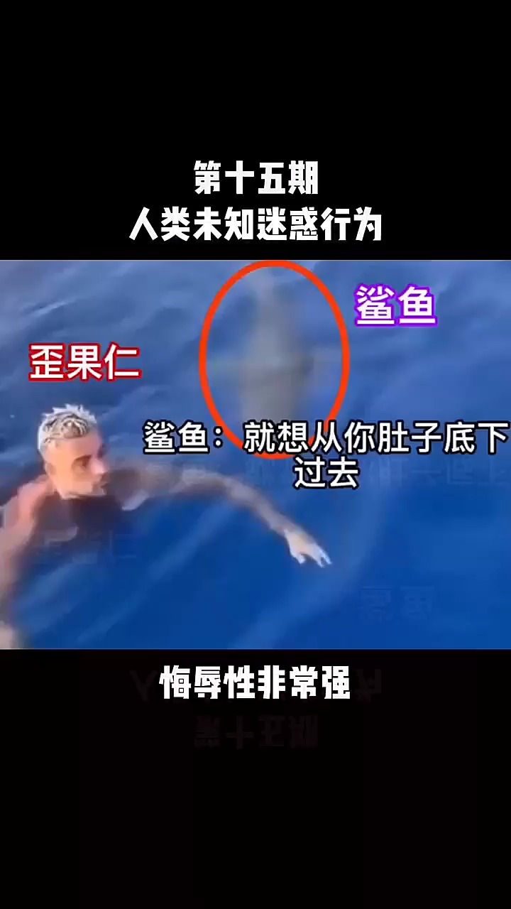 第十五期人类未知迷惑行为。鲨鱼。鲨鱼:就想从你肚子底下。悔辱性非常强