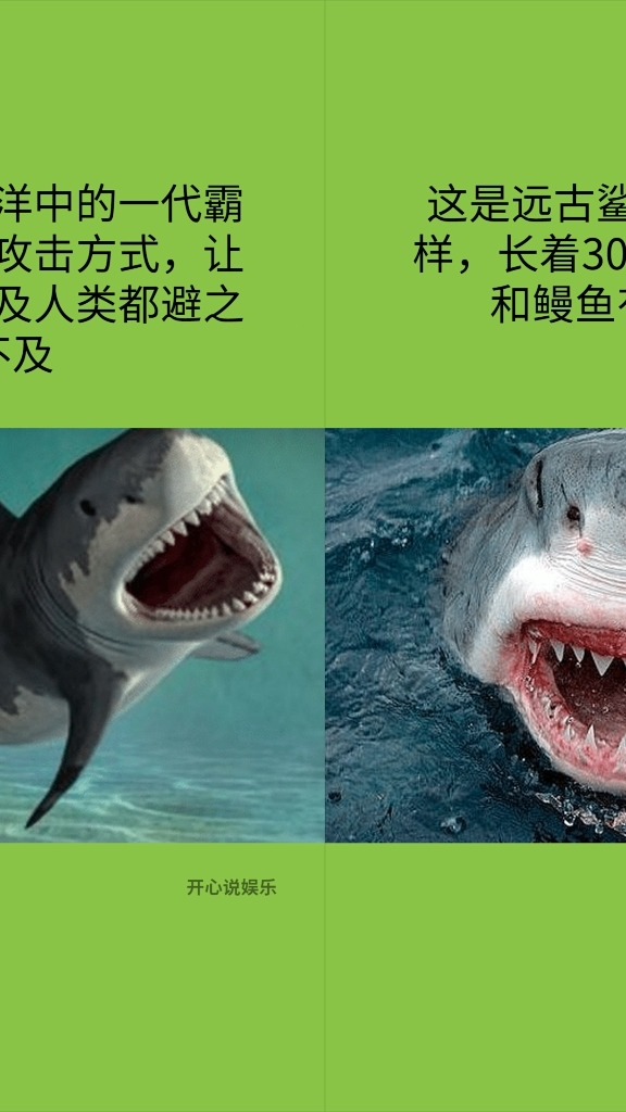 这是远古鲨鱼的真实模样,长着300多颗牙齿,和鳗鱼有些相似