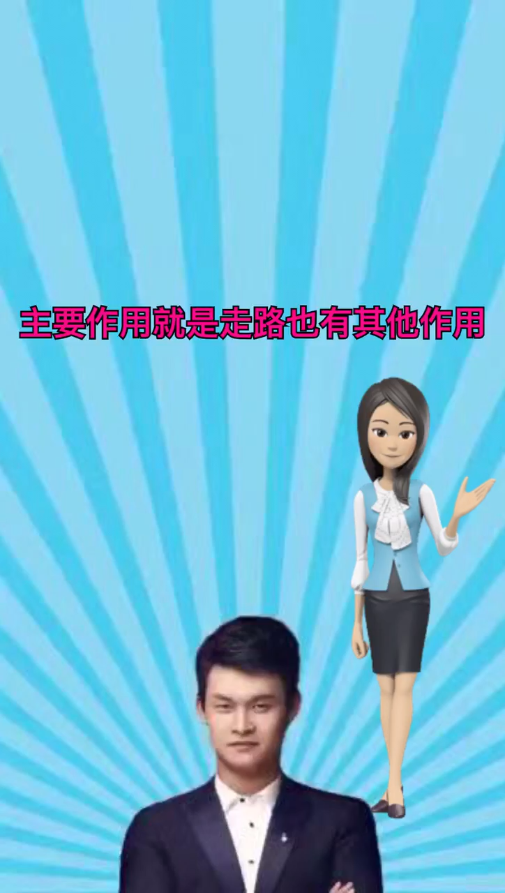 小动物的脚有什么作用