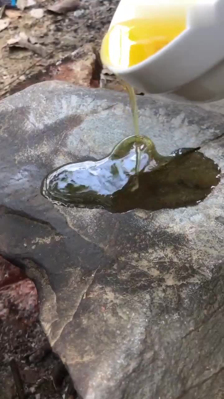 石板烤鲫鱼你们吃过吗