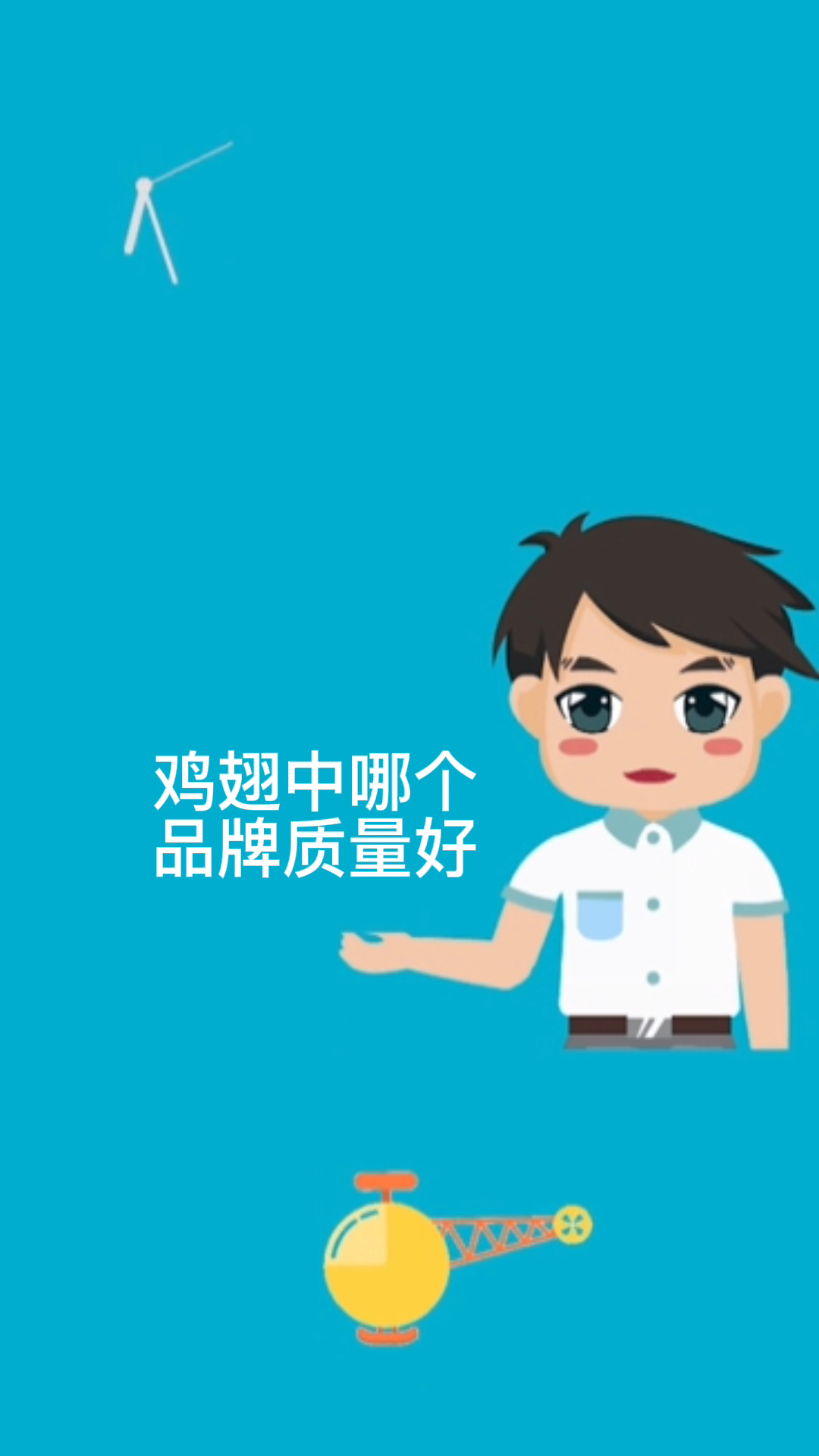 鸡翅中哪个品牌质量好