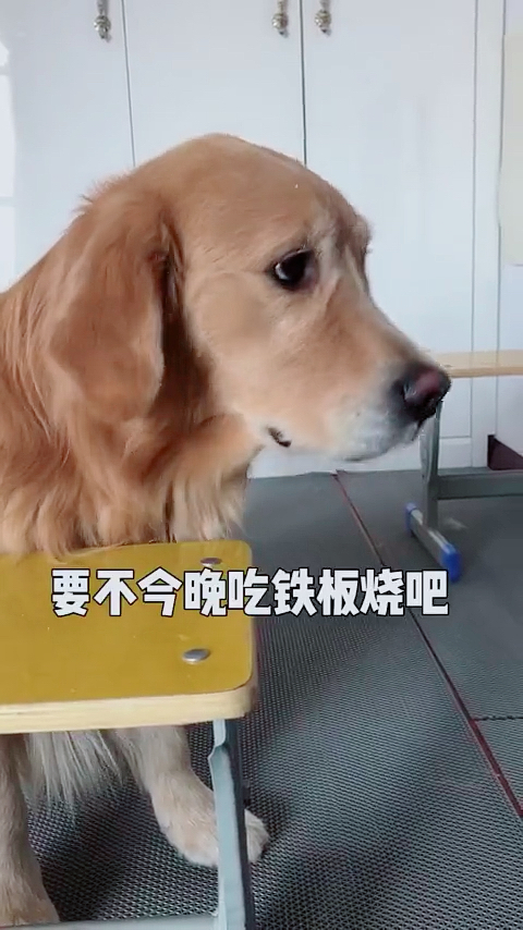 喜欢怎么都行,不喜欢怎么都不行