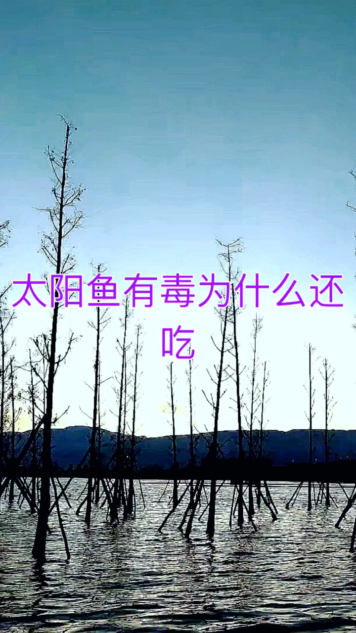 我来告诉你太阳鱼有毒为什么还吃