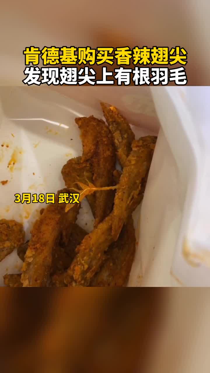 肯德基购买香辣翅尖,发现翅尖上有根羽毛。