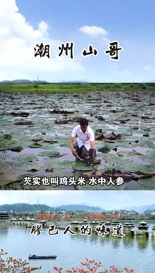 #家乡特色美食#全身是刺，被誉为水中人参，东凤芡实煮芋头汤，美味。