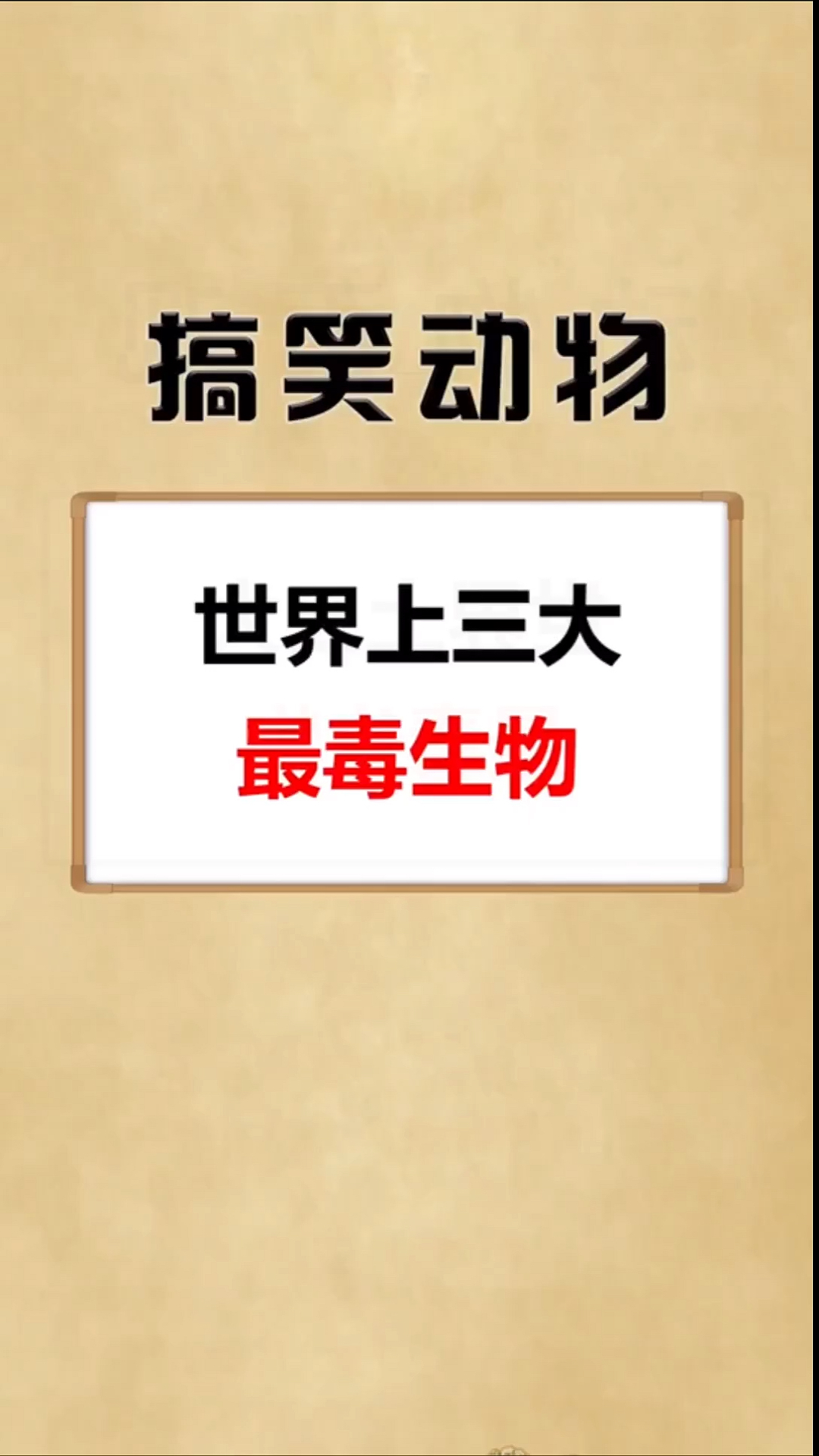 #搞笑萌宠#世界三大最毒生物