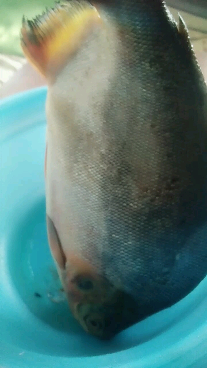 分享视频