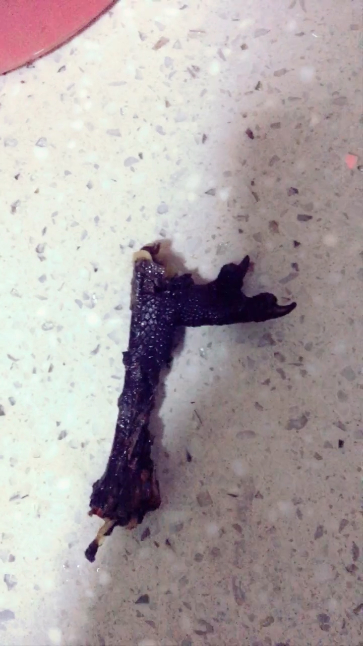 五个爪的乌鸡爪子,吃一半才发现