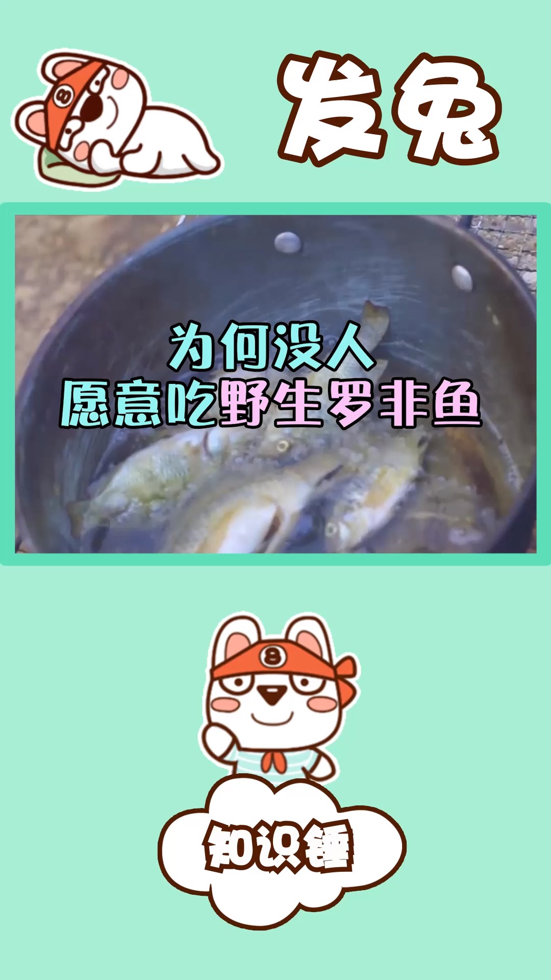 罗非鱼是成功的入侵物种,为什么野生罗非鱼没人愿意吃?