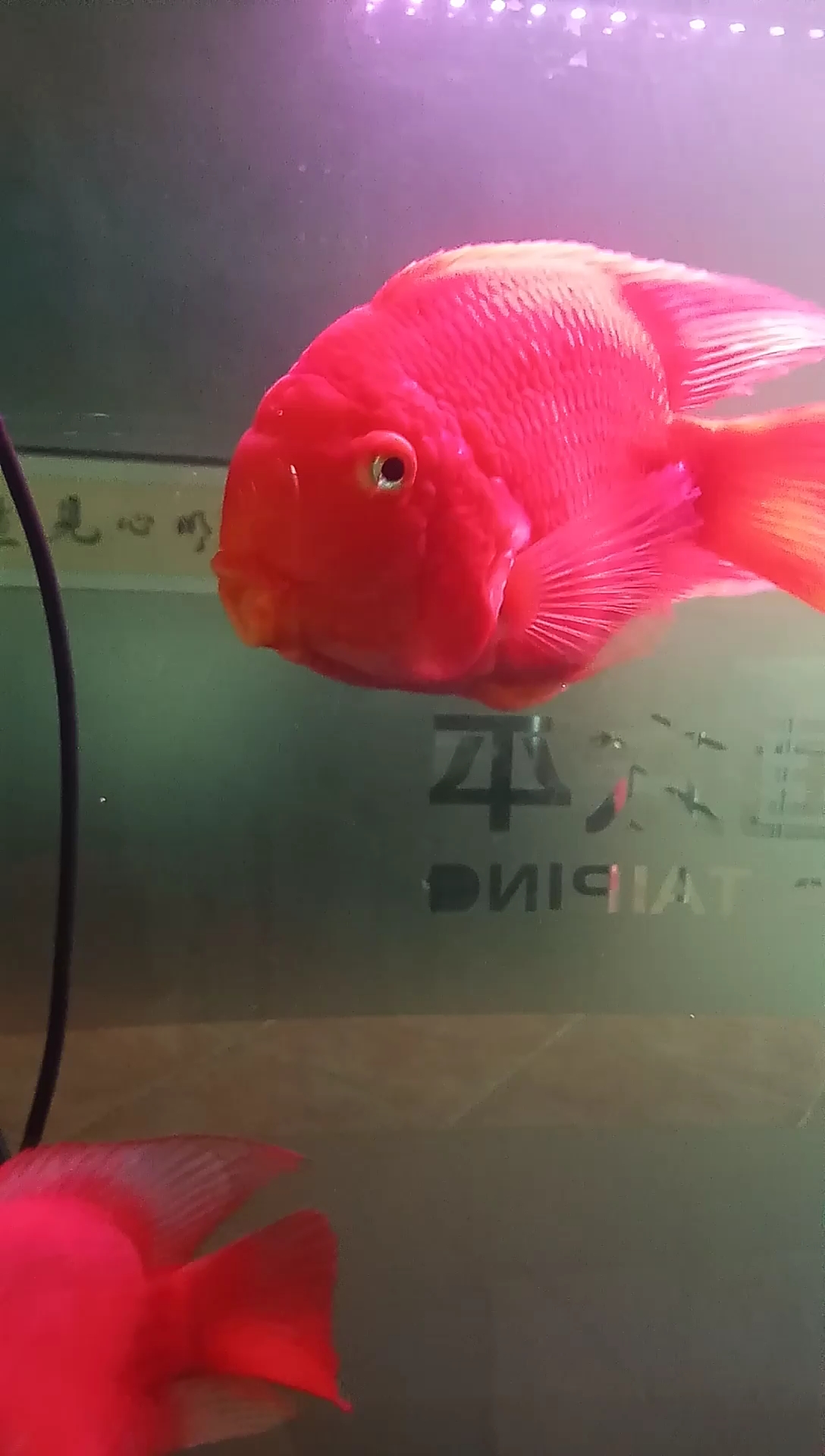 分享视频