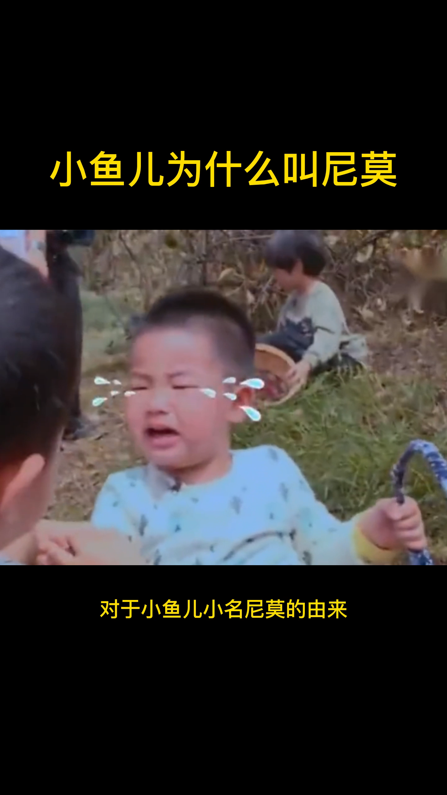 小鱼儿为什么叫尼莫