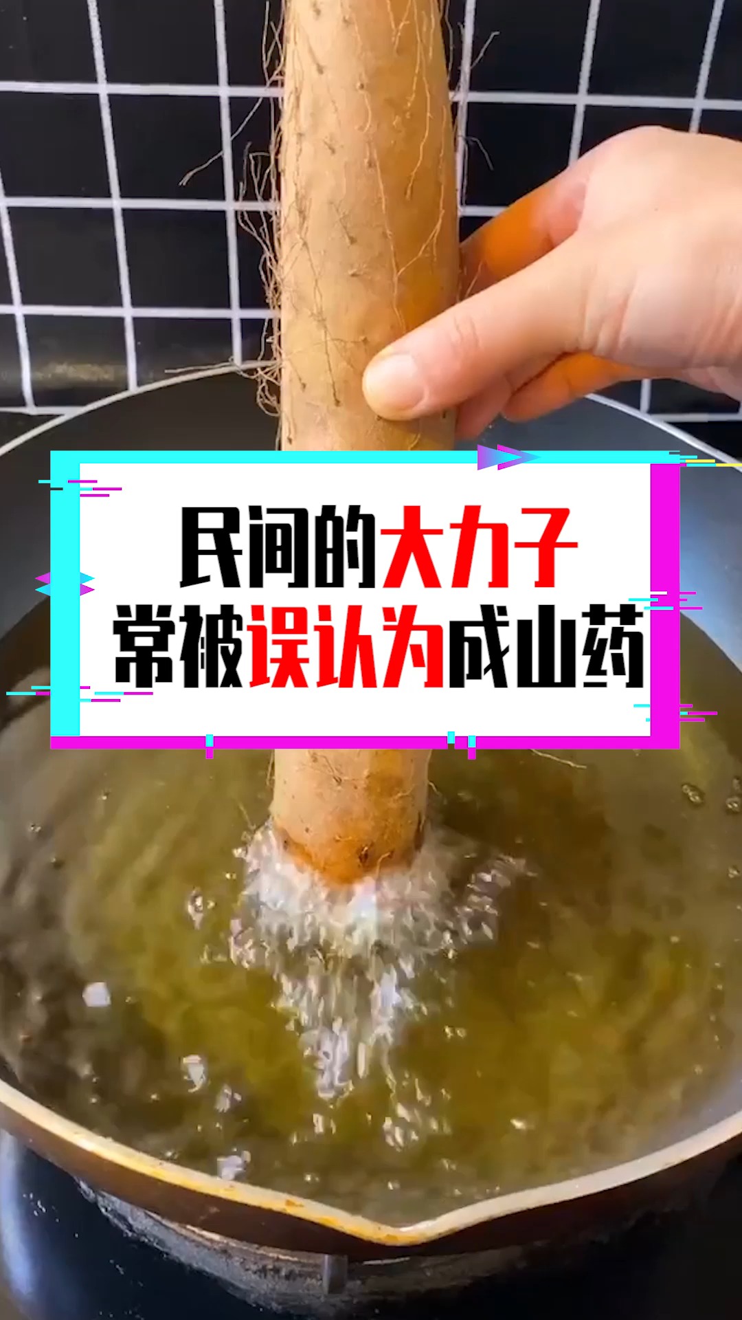 #奇闻趣事抢先看#民间的大力子,常被误认为成山药,竟是日本的超级食材!