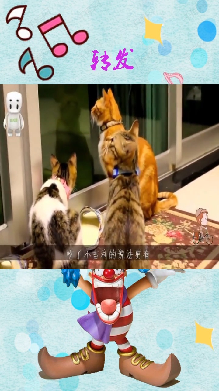 #奇闻怪事#全球唯一爱吃猫肉的国家,每年要吃掉400多万只,爱猫人士勿看