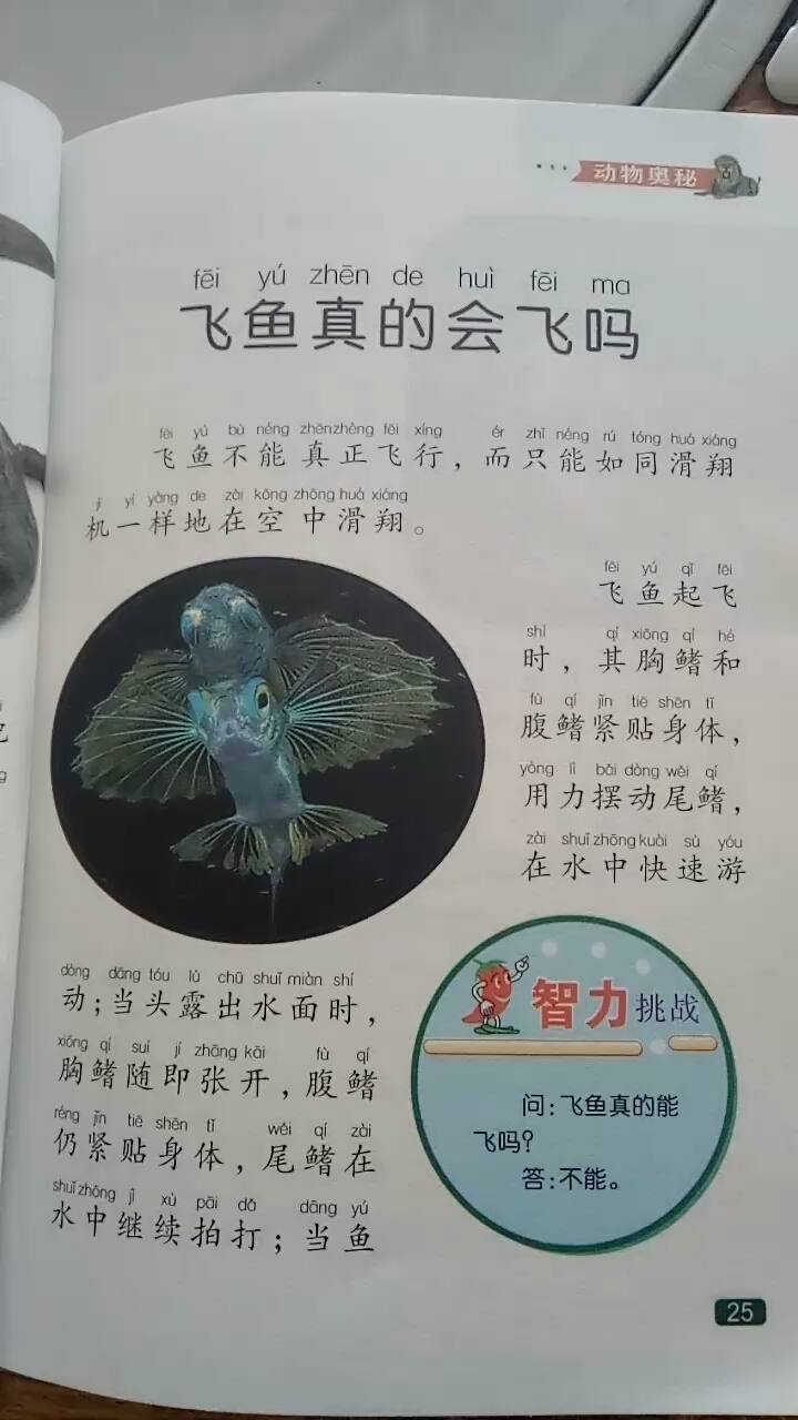 飞鱼真的会飞吗