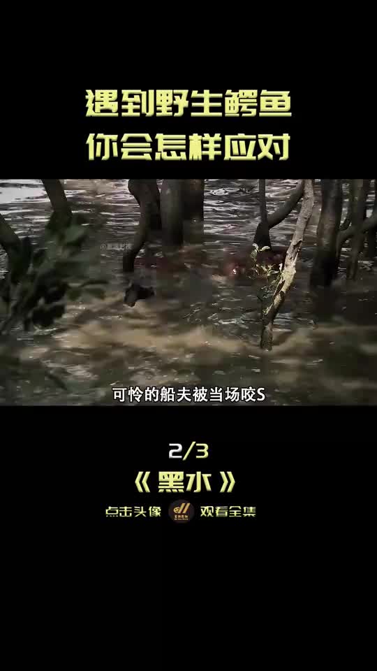 遇到野生鳄鱼,你会怎么应对,冒险电影