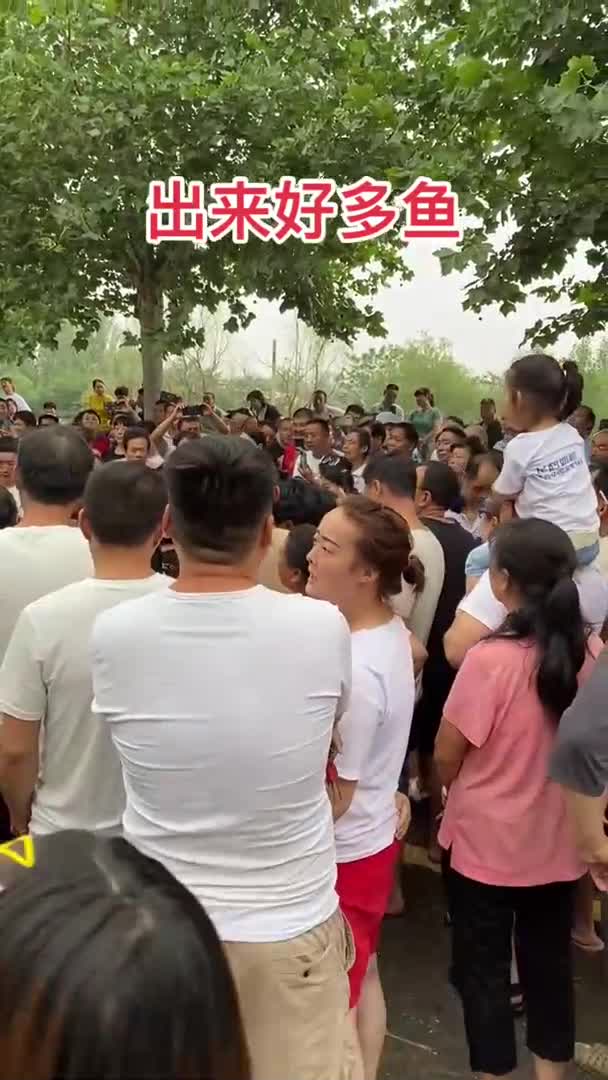 发生什么了点头像收看直播