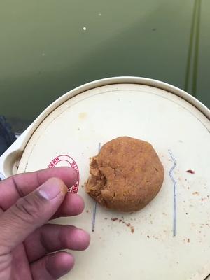 搓饵钓鲫鱼这样的状态好!入水膨胀比重轻网状结构适合等口#钓鱼