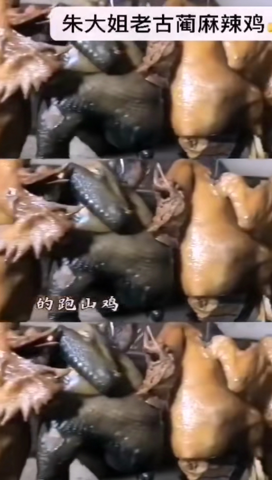 #我要上热门#正宗麻辣鸡材料选取