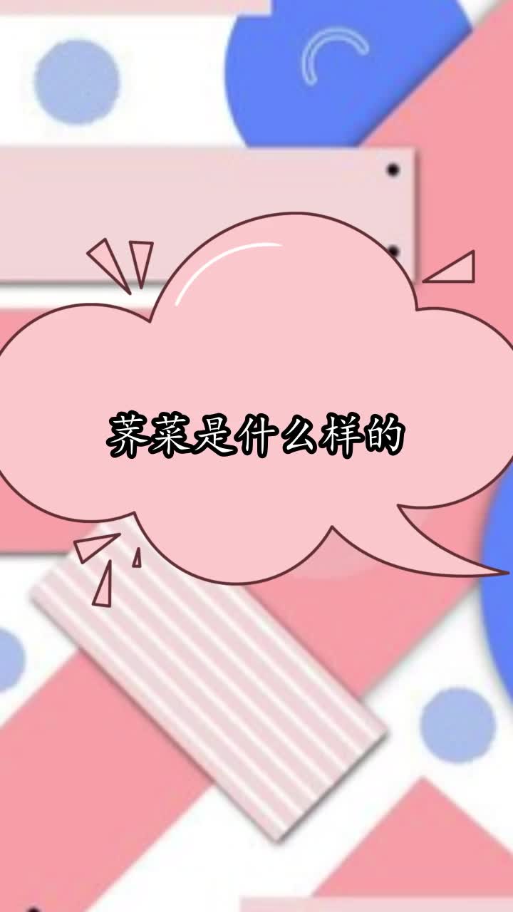 荠菜是什么样的,你理解了吗