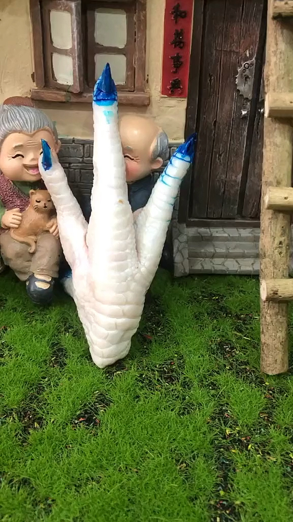就因为这只鸡偷摸了我的指甲油,准备晚上烤鸡爪!