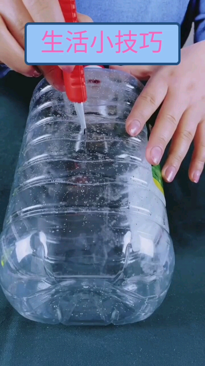 你是不是很好奇别都鸡蛋都是怎么装进油桶的