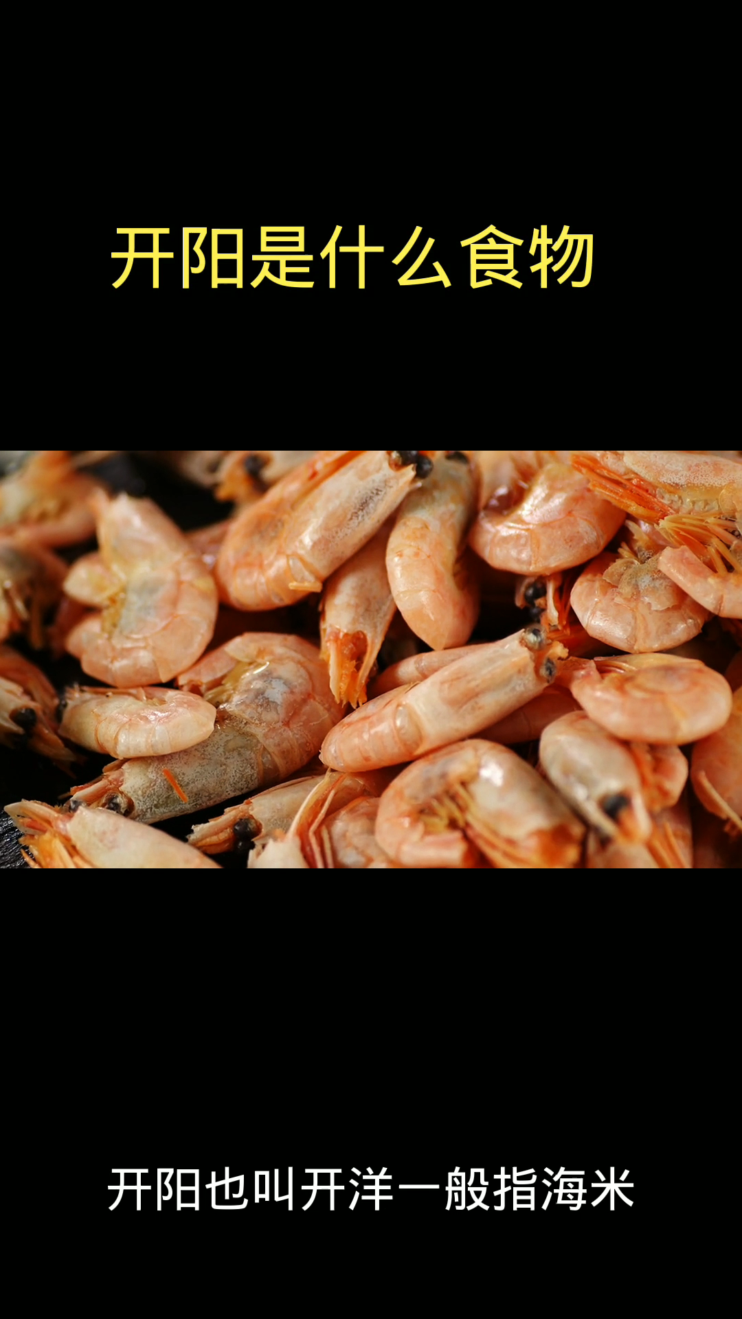 开阳是什么食物?