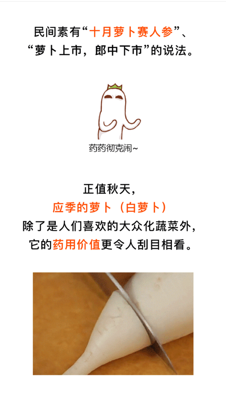 10月白萝卜赛人参