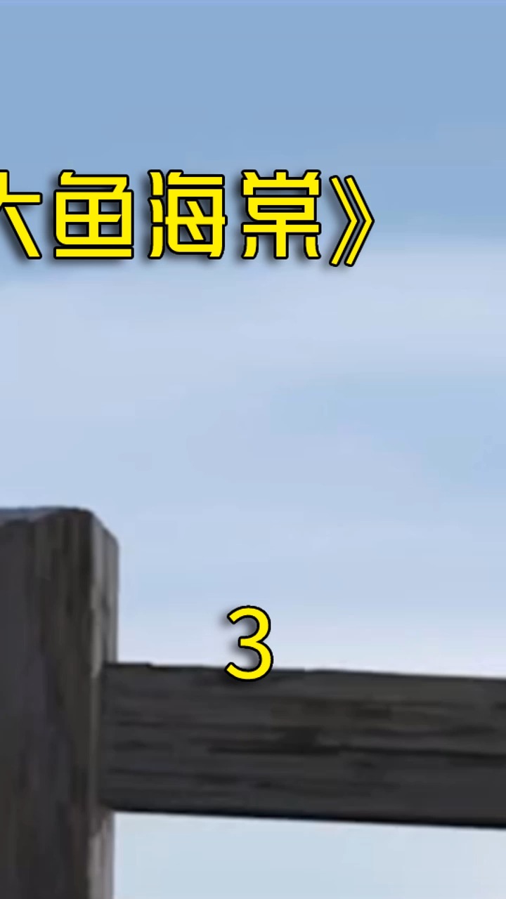 《大鱼海棠》3