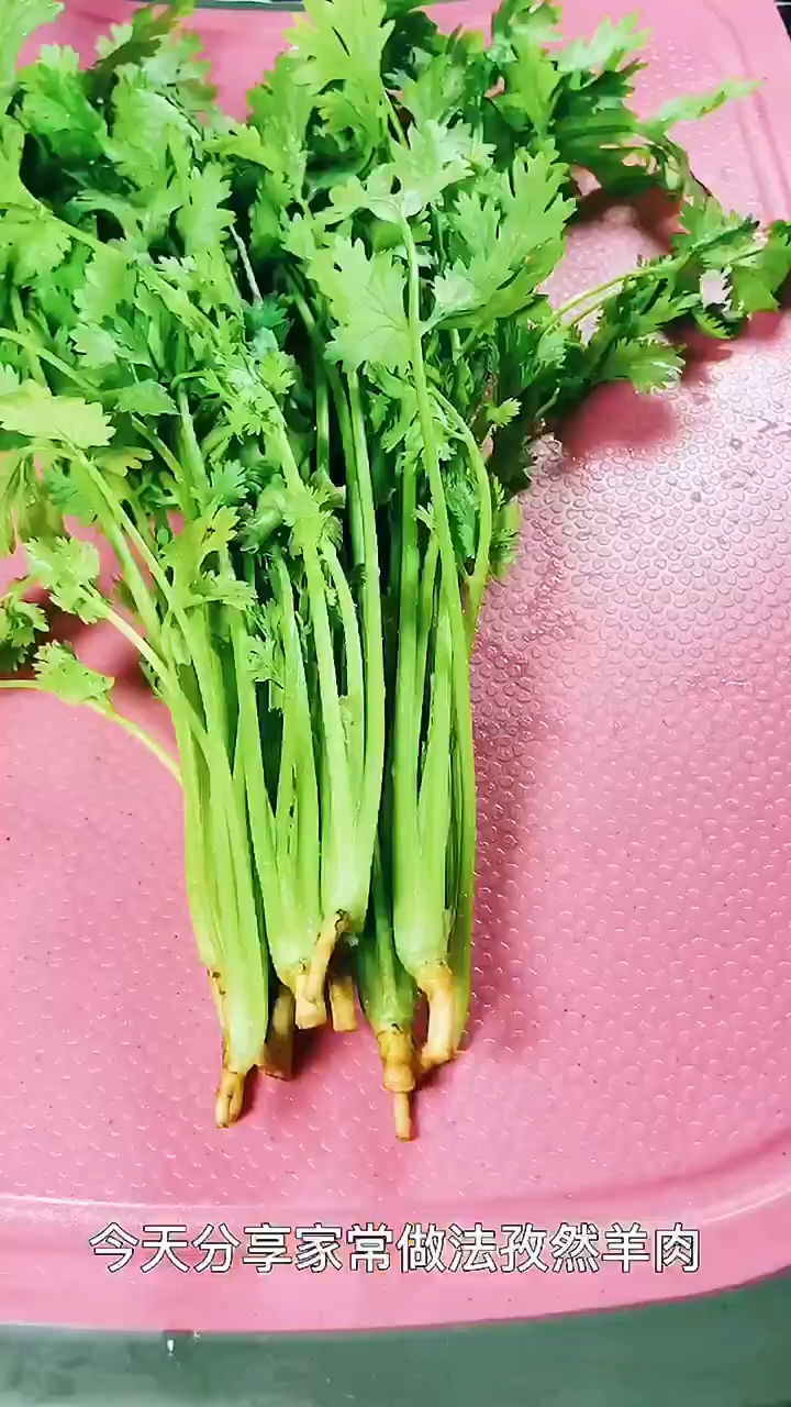 羊肉的家常做法,孜然羊肉!