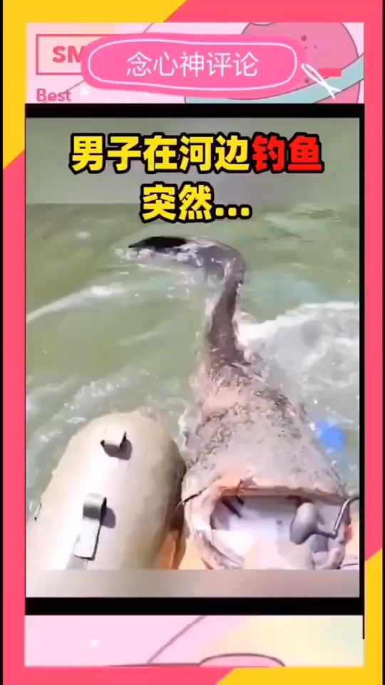#搞笑视频#男子本想钓条小鱼,结果没想到