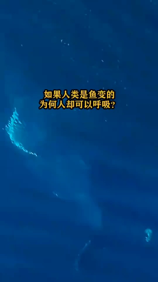 #搞笑视频#为何鱼不可以呼吸,人可以?