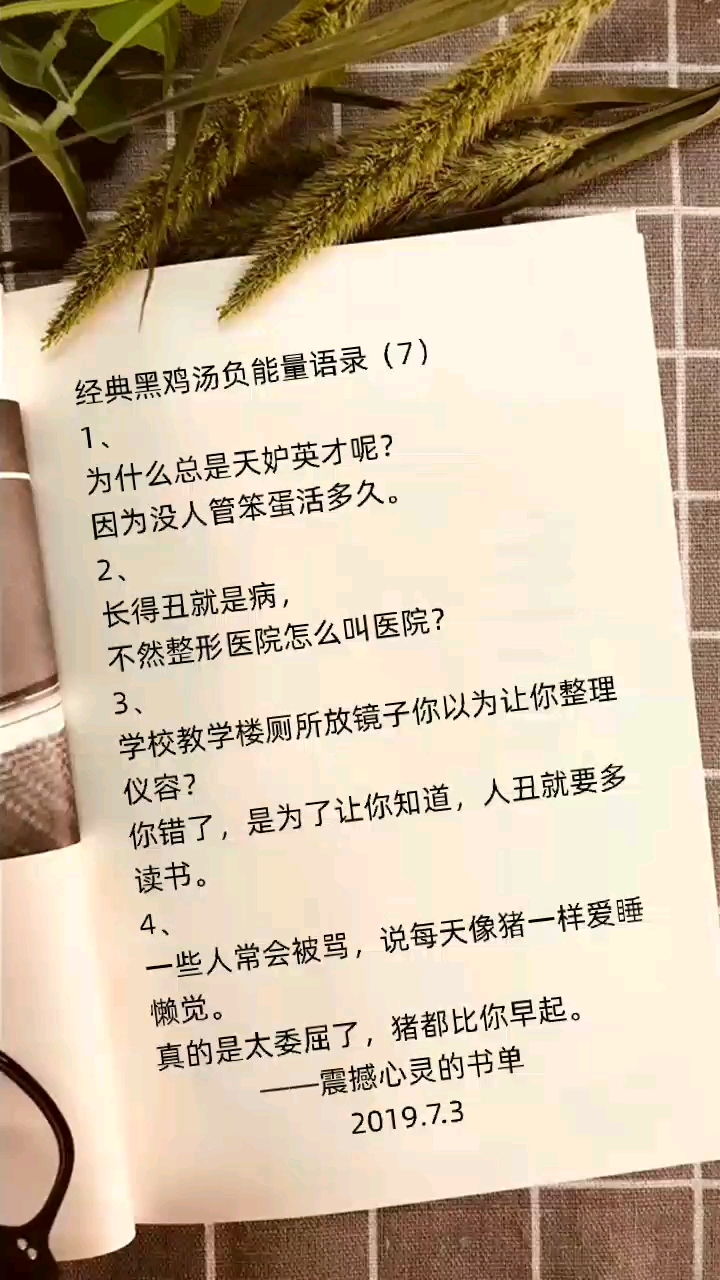 经典黑鸡汤负能量语录:学校教学楼厕所放镜子是为了让你知道,人丑就要多读书!