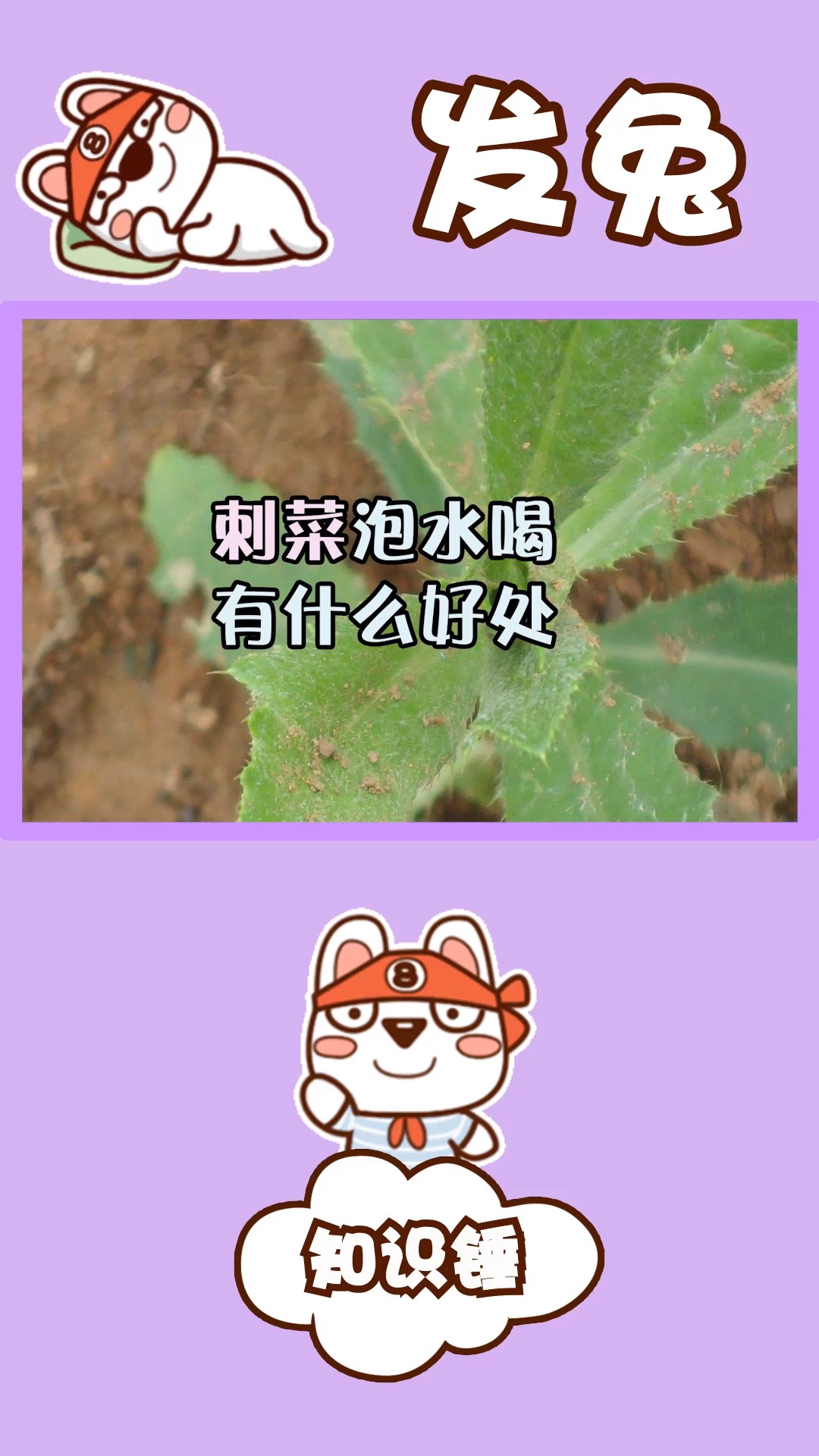 桃胶是一种真菌,为什么还有女生要吃!