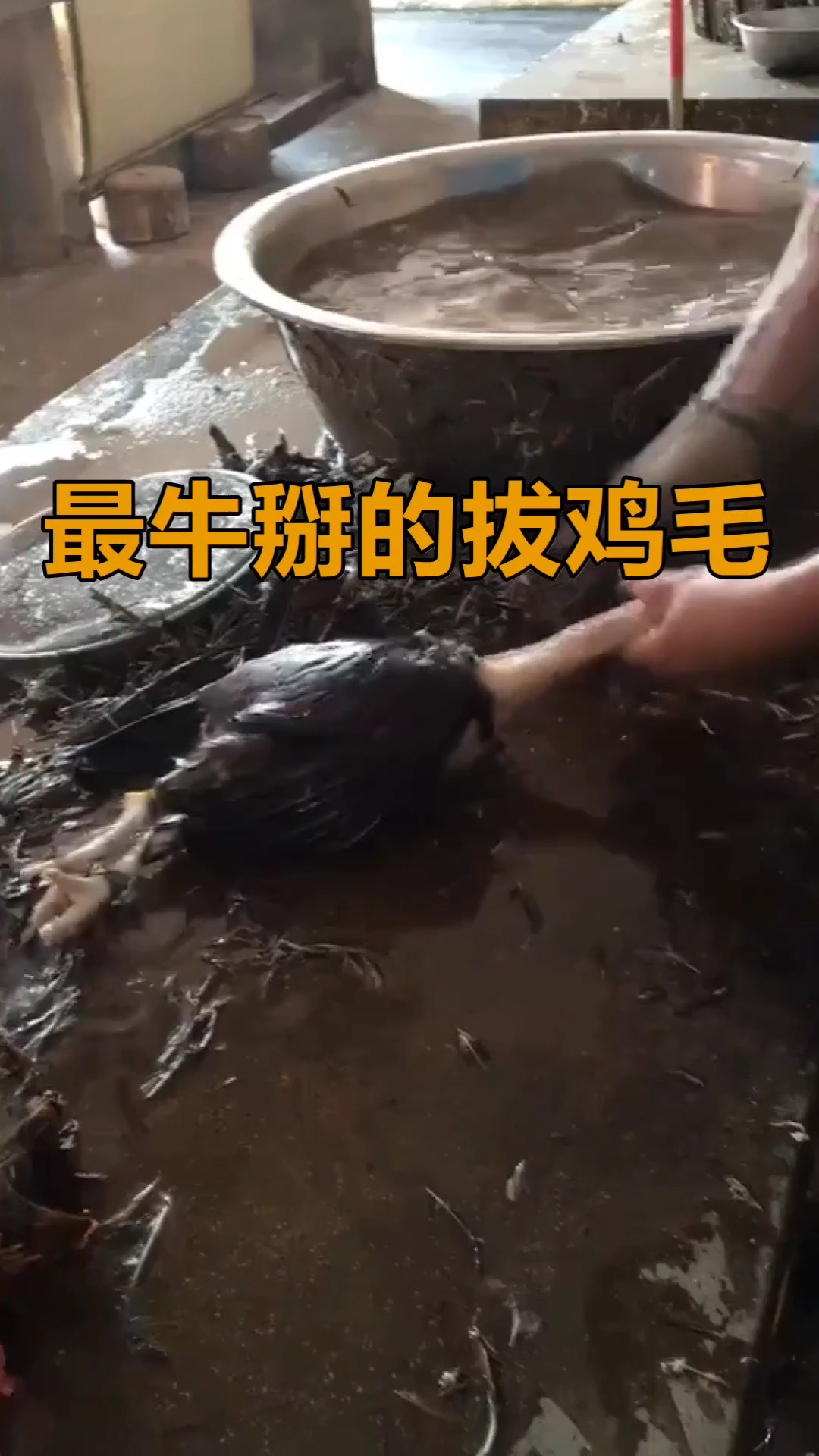 史上最牛掰拔鸡毛神器,一波操作猛如虎,真的一毛不剩