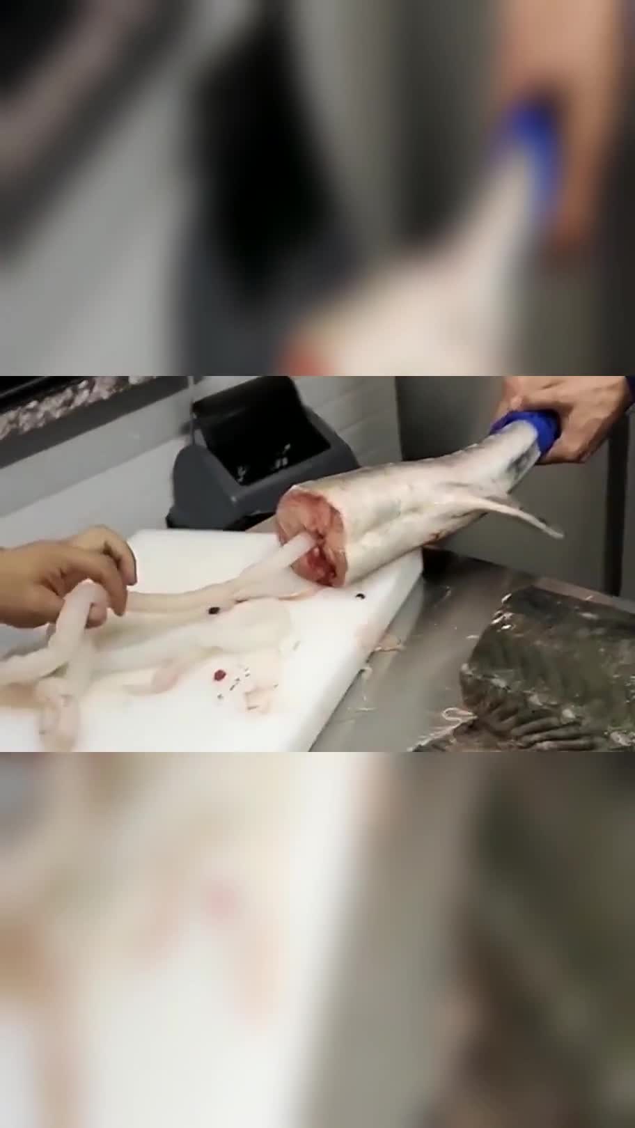 师傅切开一条鳇鱼,拉出来了很长的鱼筋,像脐带一样弯弯曲曲的!