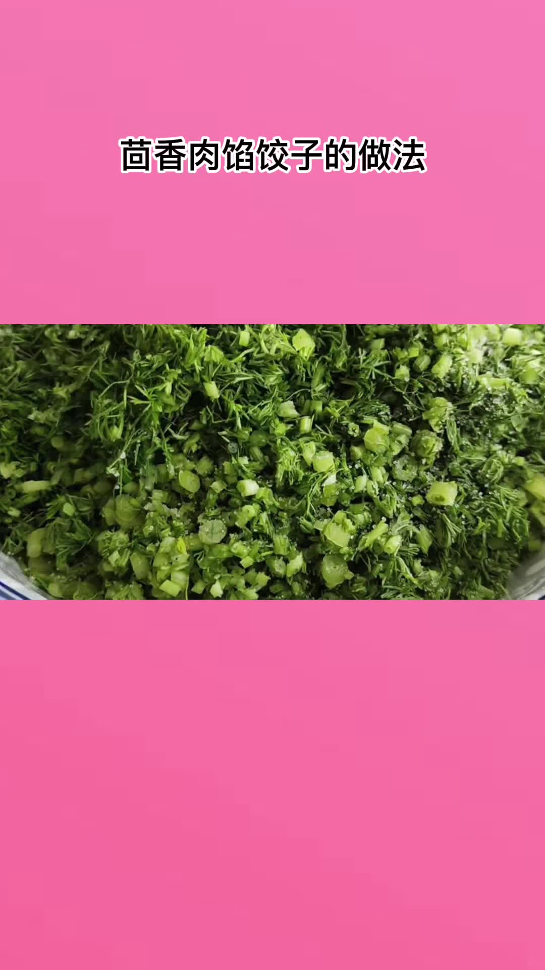 茴香猪肉馅儿饺子这么做,不干不柴,鲜香美味