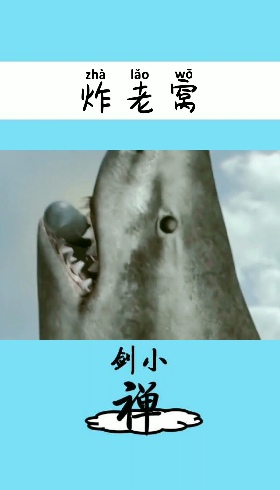 #鲸鱼#
