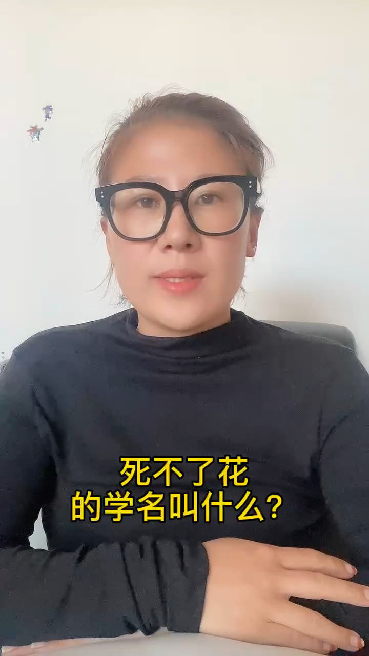 死不了花的学名叫什么?